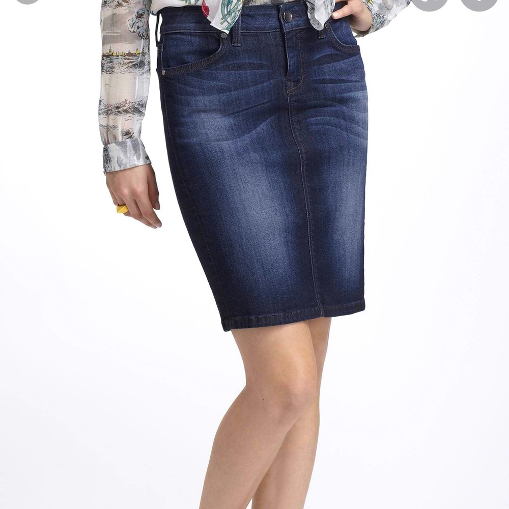 Anthropologie level 99 denim pencil skirt